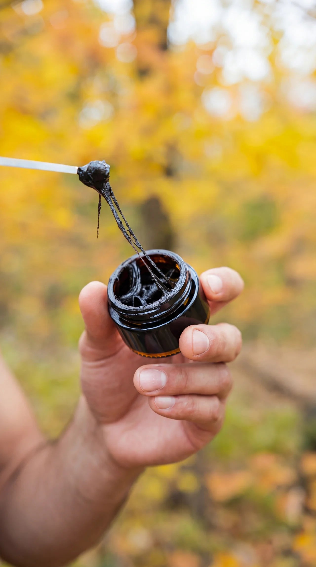 Pure Shilajit Resin
