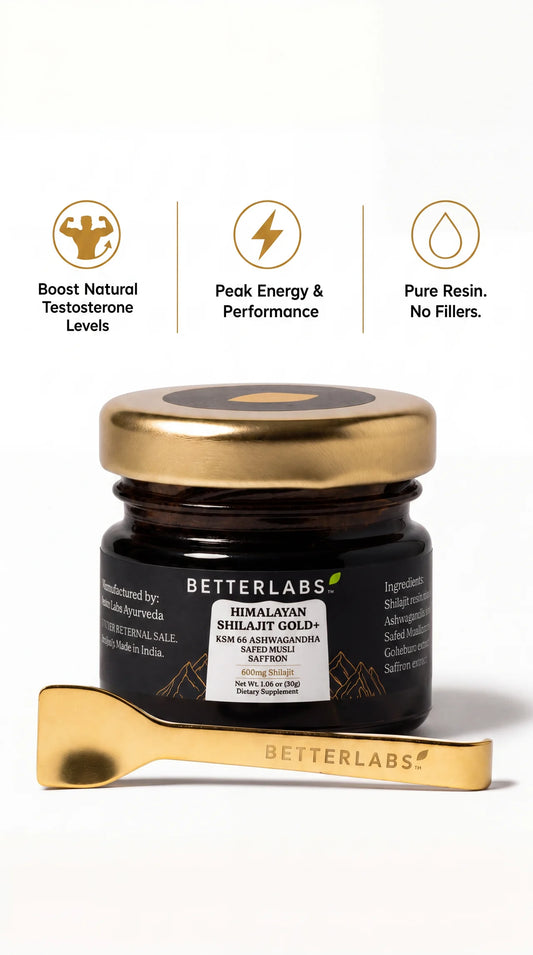 Pure Shilajit Resin